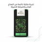 ROYAL MINT BLACK TEA - Hamsa